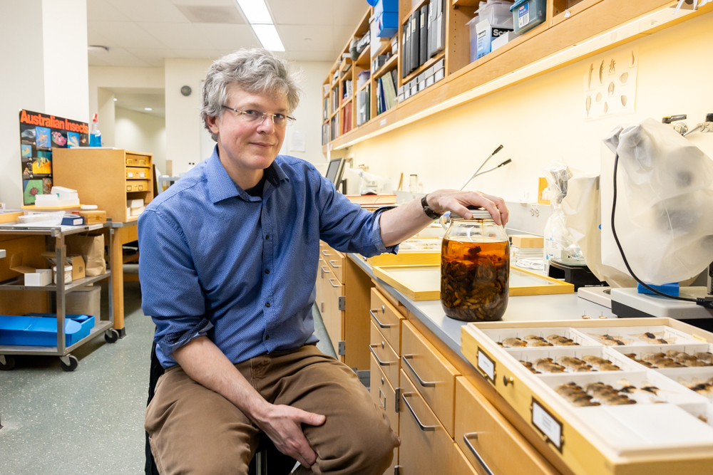 John Cooley, Associate Professor-in-Residence of Ecology and Evolutionary Biology, poses with a jar of cicada specimens currently kept in UConn's Biodiversity Research Collections on Friday, Feb. 9, 2024. (Sydney Herdle/UConn Photo)